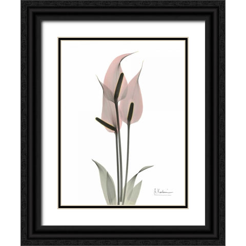 Pink Flamingo Black Ornate Wood Framed Art Print with Double Matting by Koetsier, Albert