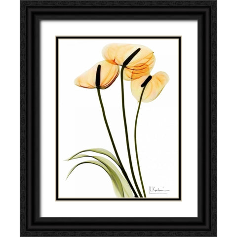 Anthurium Black Ornate Wood Framed Art Print with Double Matting by Koetsier, Albert