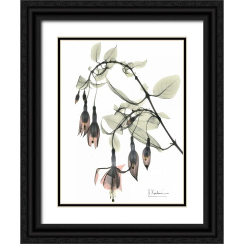 Fuchsia in Color Black Ornate Wood Framed Art Print with Double Matting by Koetsier, Albert