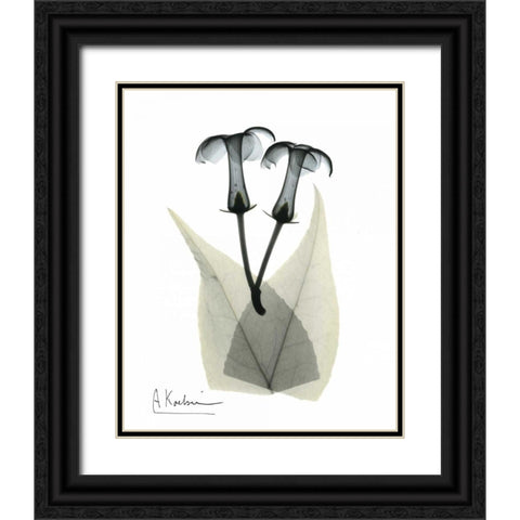 Stephanotis Pair  in Color Black Ornate Wood Framed Art Print with Double Matting by Koetsier, Albert