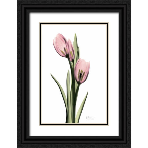 Annie Tulip Black Ornate Wood Framed Art Print with Double Matting by Koetsier, Albert