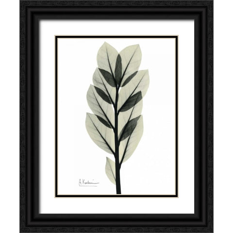 Zan Zibar Gem Black Ornate Wood Framed Art Print with Double Matting by Koetsier, Albert