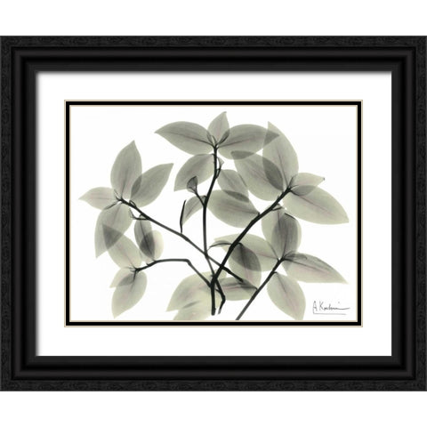 Wandering Jew Black Ornate Wood Framed Art Print with Double Matting by Koetsier, Albert