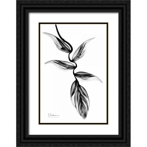 Heliconia BandW Black Ornate Wood Framed Art Print with Double Matting by Koetsier, Albert