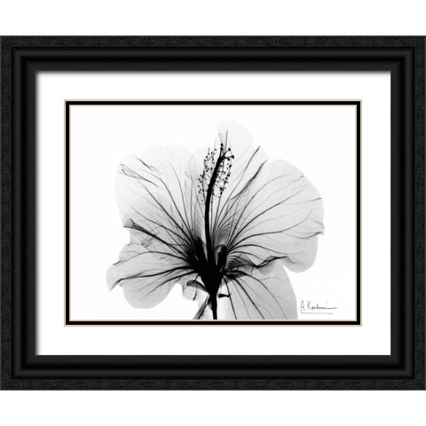 Hibiscus in BandW Black Ornate Wood Framed Art Print with Double Matting by Koetsier, Albert