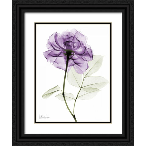 Purple Rose Black Ornate Wood Framed Art Print with Double Matting by Koetsier, Albert