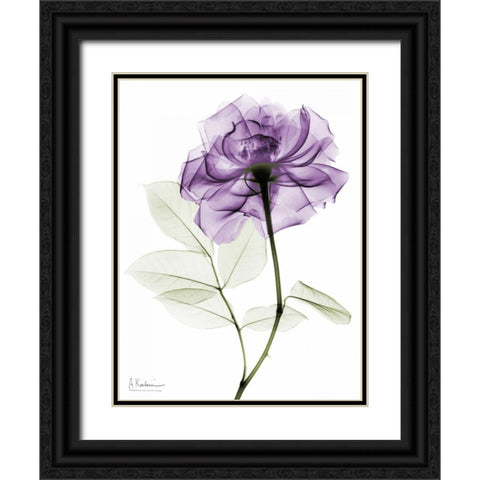 Purlpe Rose 2 Black Ornate Wood Framed Art Print with Double Matting by Koetsier, Albert