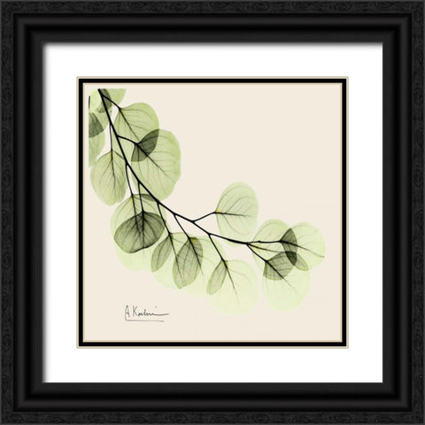 Eucalyptus Black Ornate Wood Framed Art Print with Double Matting by Koetsier, Albert