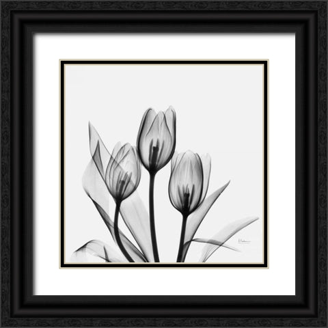 Tulips Black Ornate Wood Framed Art Print with Double Matting by Koetsier, Albert