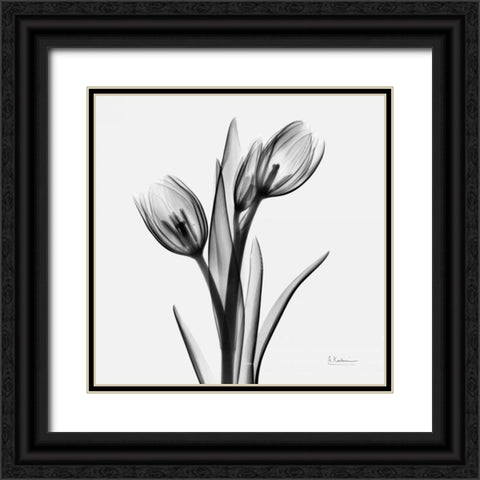 Tulips Black Ornate Wood Framed Art Print with Double Matting by Koetsier, Albert