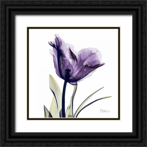 Tulip Dream Black Ornate Wood Framed Art Print with Double Matting by Koetsier, Albert