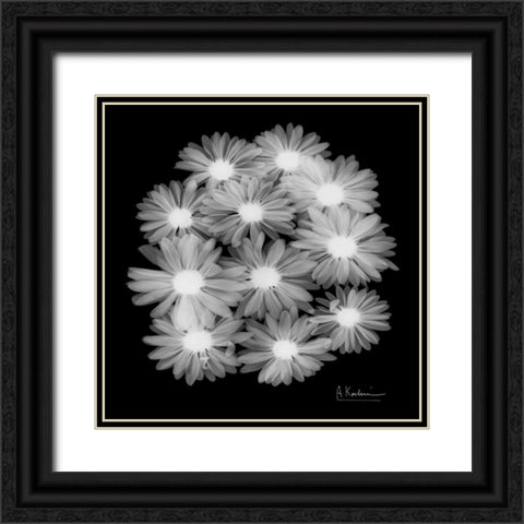 Margarithe X-Ray Black Ornate Wood Framed Art Print with Double Matting by Koetsier, Albert