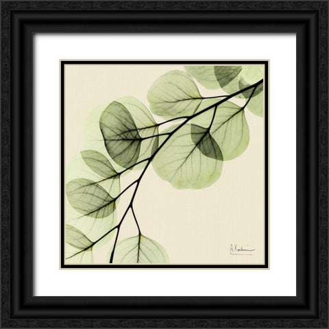 Mint Eucalyptus 1 Black Ornate Wood Framed Art Print with Double Matting by Koetsier, Albert