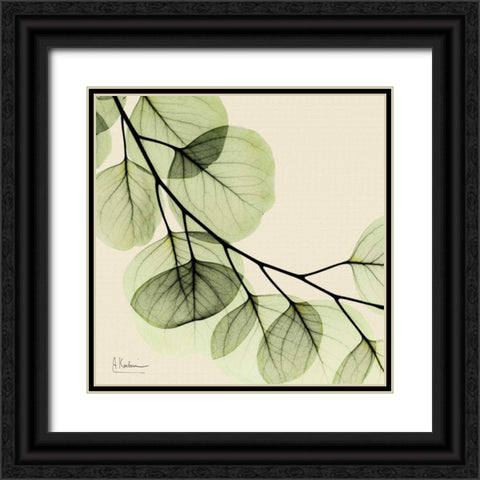 Mint Eucalyptus 2 Black Ornate Wood Framed Art Print with Double Matting by Koetsier, Albert