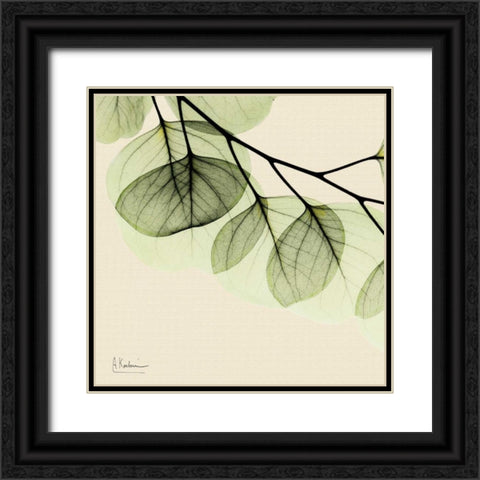 Mint Eucalyptus 3 Black Ornate Wood Framed Art Print with Double Matting by Koetsier, Albert