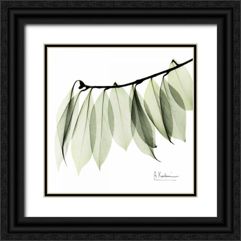 Camelia Leaf In White Black Ornate Wood Framed Art Print with Double Matting by Koetsier, Albert