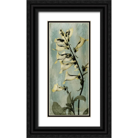 Golden Foxglove Black Ornate Wood Framed Art Print with Double Matting by Koetsier, Albert