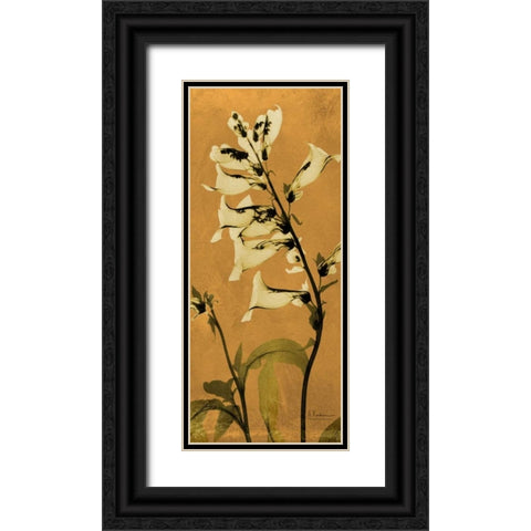 Golden Foxglove Black Ornate Wood Framed Art Print with Double Matting by Koetsier, Albert