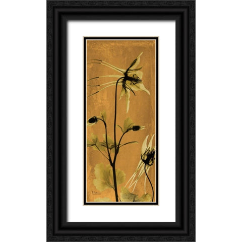 Columbine Black Ornate Wood Framed Art Print with Double Matting by Koetsier, Albert