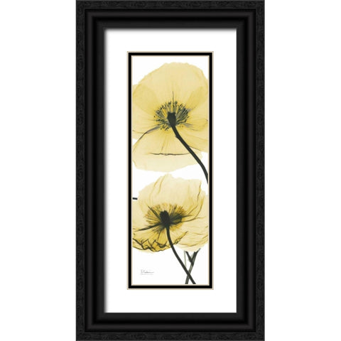 Iceland Poppy Yellow Black Ornate Wood Framed Art Print with Double Matting by Koetsier, Albert