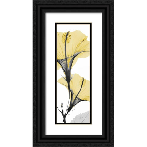 Hibiscus Yellow Black Ornate Wood Framed Art Print with Double Matting by Koetsier, Albert
