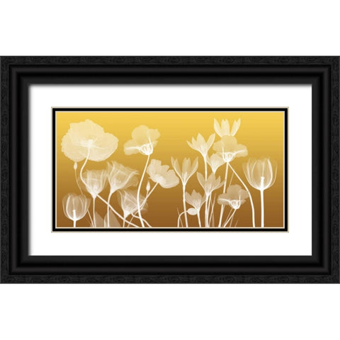 Transparent Flora Black Ornate Wood Framed Art Print with Double Matting by Koetsier, Albert