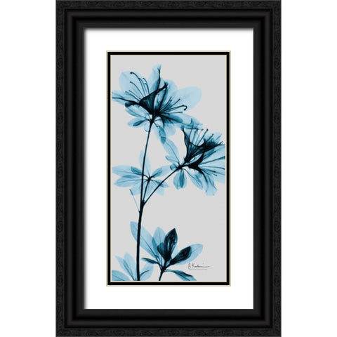 Blue Azalea Black Ornate Wood Framed Art Print with Double Matting by Koetsier, Albert