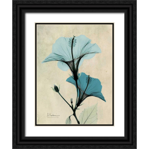 Hibiscus Black Ornate Wood Framed Art Print with Double Matting by Koetsier, Albert