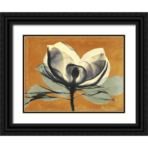 Warm Magnolia 1 Black Ornate Wood Framed Art Print with Double Matting by Koetsier, Albert