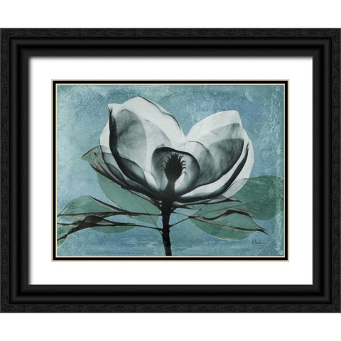 Magnolia Blues 1 Black Ornate Wood Framed Art Print with Double Matting by Koetsier, Albert