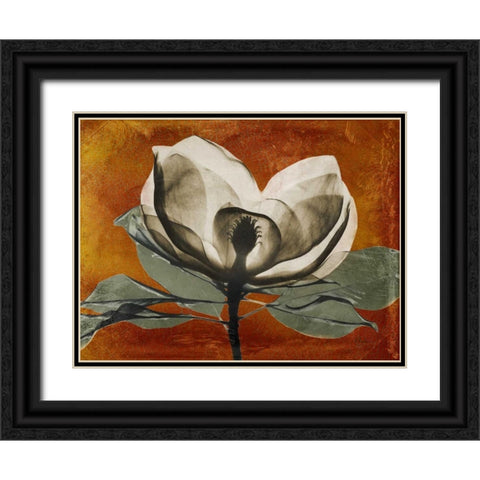 Magnolia Rust 1 Black Ornate Wood Framed Art Print with Double Matting by Koetsier, Albert