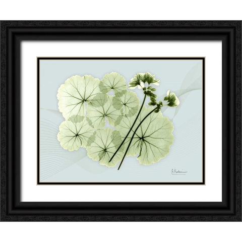 Geranium L48 Black Ornate Wood Framed Art Print with Double Matting by Koetsier, Albert