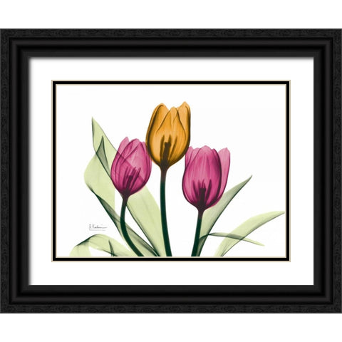 Tulip Black Ornate Wood Framed Art Print with Double Matting by Koetsier, Albert