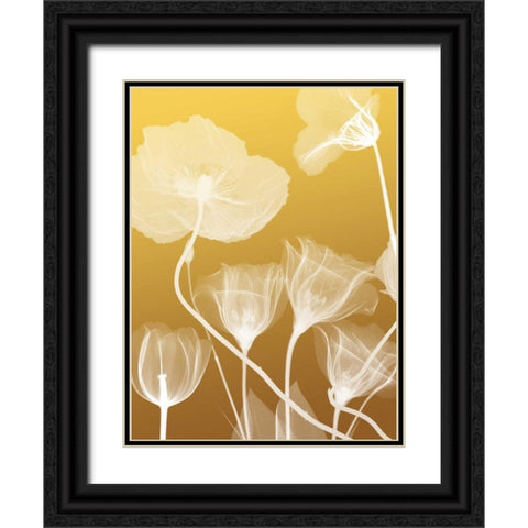 Transparent Flora 1 Black Ornate Wood Framed Art Print with Double Matting by Koetsier, Albert