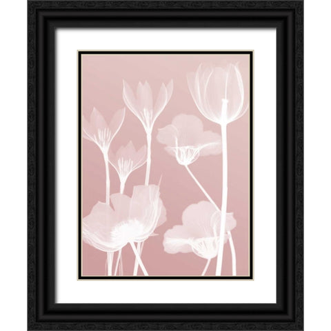 Pink Flora 2  Black Ornate Wood Framed Art Print with Double Matting by Koetsier, Albert
