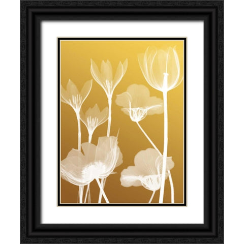 Transparent Flora 2 Black Ornate Wood Framed Art Print with Double Matting by Koetsier, Albert