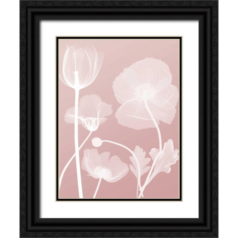 Pink Flora 3 Black Ornate Wood Framed Art Print with Double Matting by Koetsier, Albert