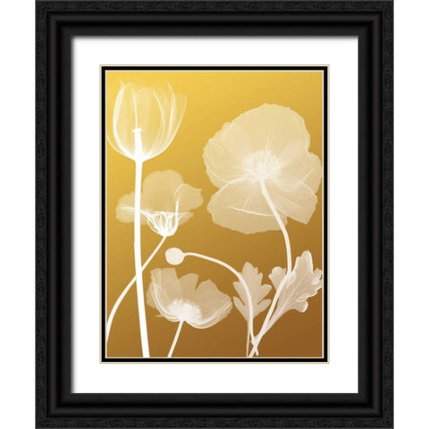 Transparent Flora 3 Black Ornate Wood Framed Art Print with Double Matting by Koetsier, Albert