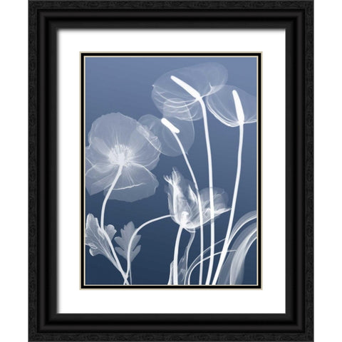 Transparent Flora 6 Black Ornate Wood Framed Art Print with Double Matting by Koetsier, Albert