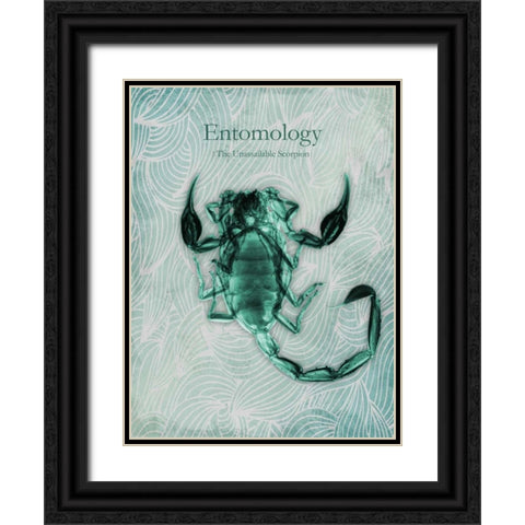 Unassailable Scorpion Black Ornate Wood Framed Art Print with Double Matting by Koetsier, Albert