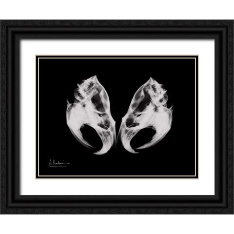 Ondatra Twins Black Ornate Wood Framed Art Print with Double Matting by Koetsier, Albert