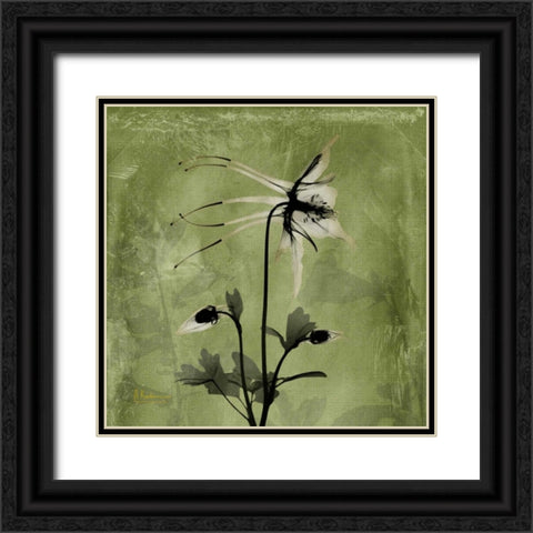 Columbine Black Ornate Wood Framed Art Print with Double Matting by Koetsier, Albert