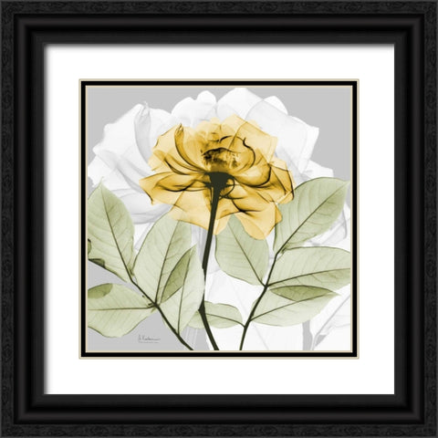 Rose in Gold 3 Black Ornate Wood Framed Art Print with Double Matting by Koetsier, Albert