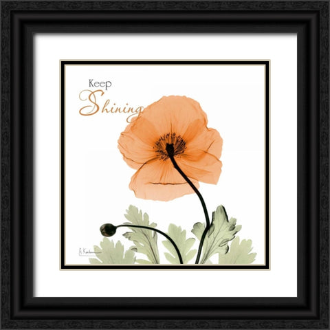 Keep Shining Iceland Poppy Black Ornate Wood Framed Art Print with Double Matting by Koetsier, Albert