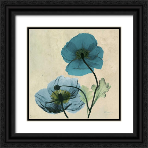 Iceland Poppy Black Ornate Wood Framed Art Print with Double Matting by Koetsier, Albert