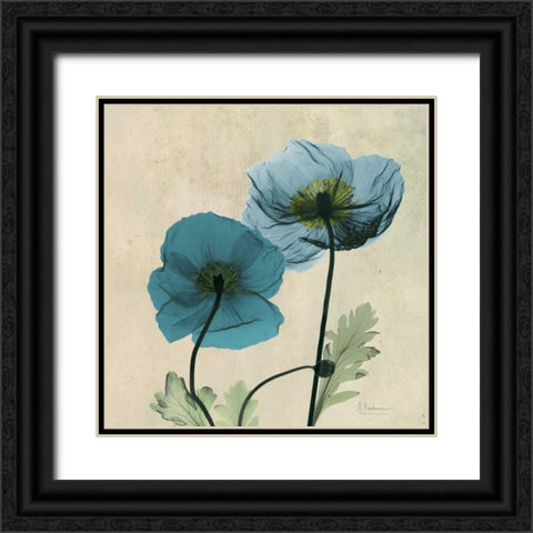 Iceland Poppy Black Ornate Wood Framed Art Print with Double Matting by Koetsier, Albert