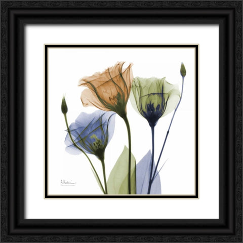 Gentian Buddies Black Ornate Wood Framed Art Print with Double Matting by Koetsier, Albert