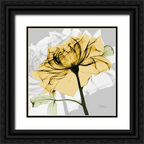 Rose in Gold 5 Black Ornate Wood Framed Art Print with Double Matting by Koetsier, Albert