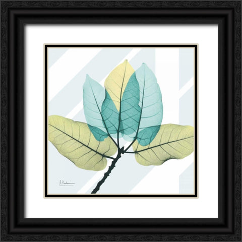 Transitional Ficus Burkey Black Ornate Wood Framed Art Print with Double Matting by Koetsier, Albert