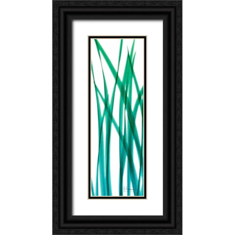 Snow Drop Flowing Blue Green Black Ornate Wood Framed Art Print with Double Matting by Koetsier, Albert